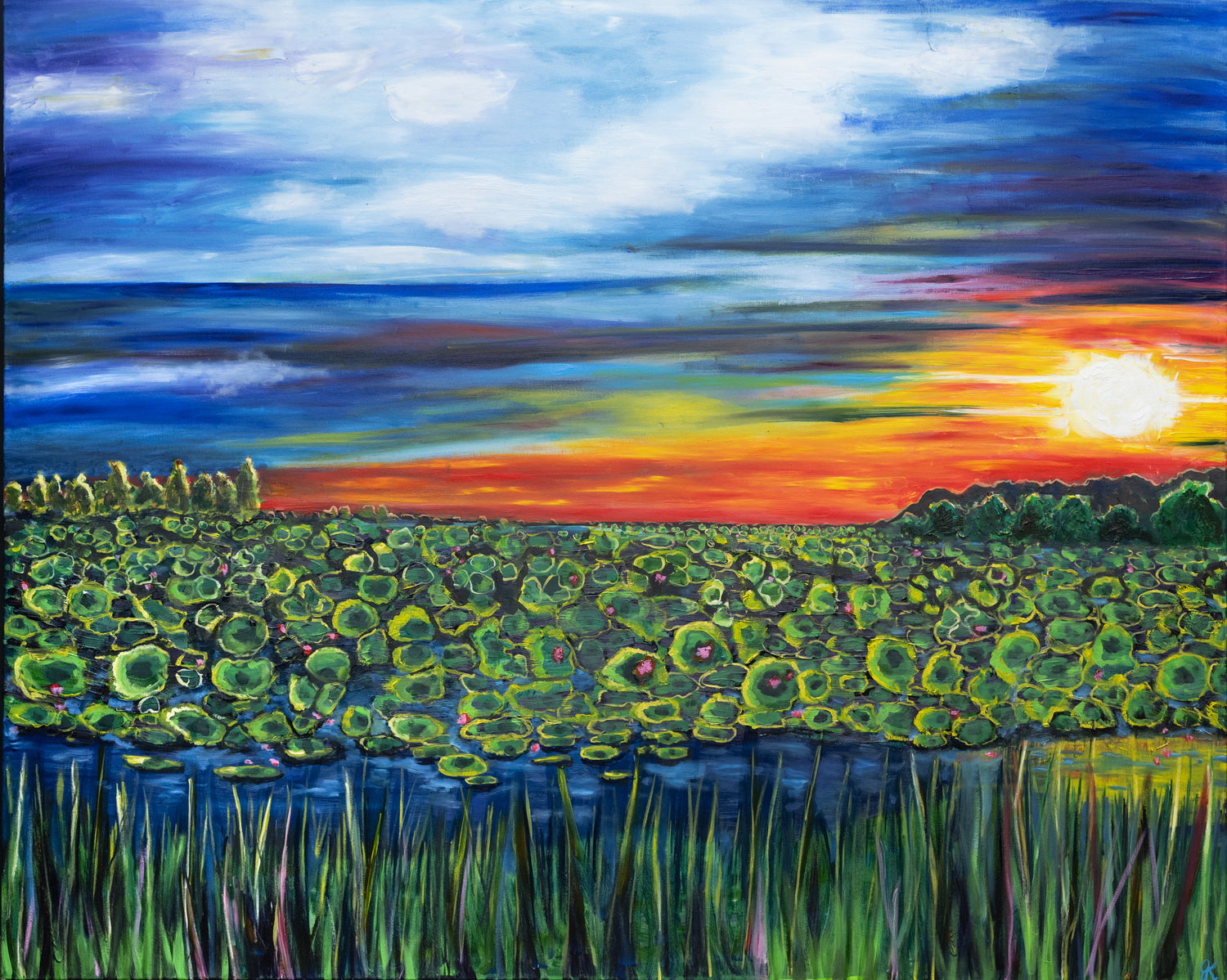 #Australian Landscape #Darwin #FogDam #NT #Waterlillie #Darwinsunset #sunset #crocodiles #nature